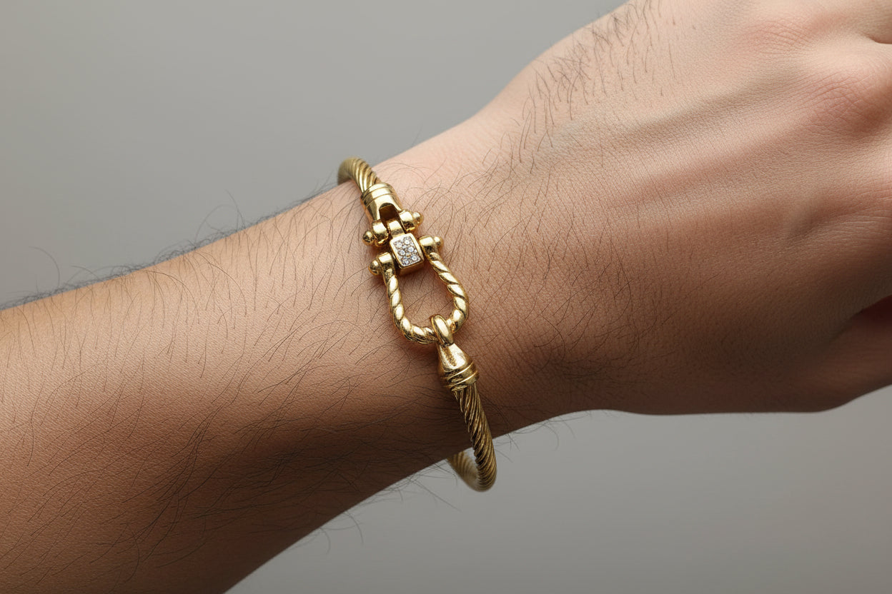 Titanium Horseshoe Clasp Bracelet